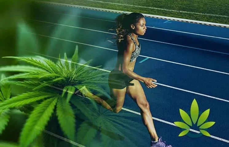 Benefits of CBD oil for athletes