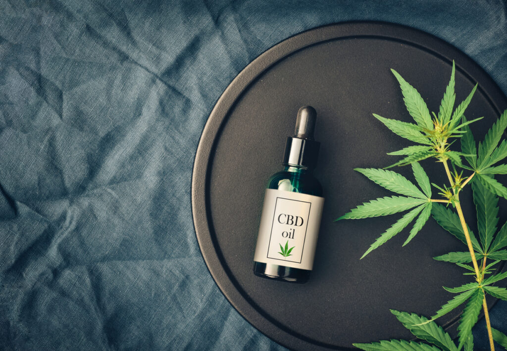 cbd oil for pet anxiety