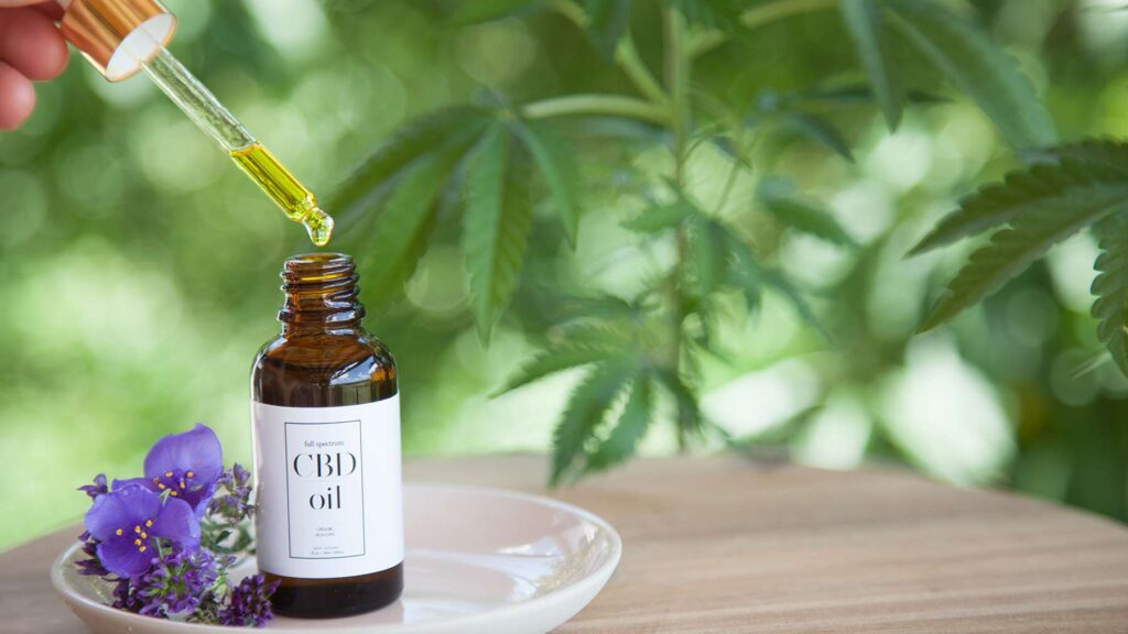CBD Works in the Body