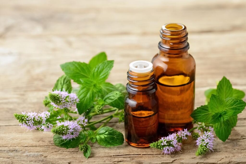 CBD Oil Trends What’s Changing in the CBD Industry